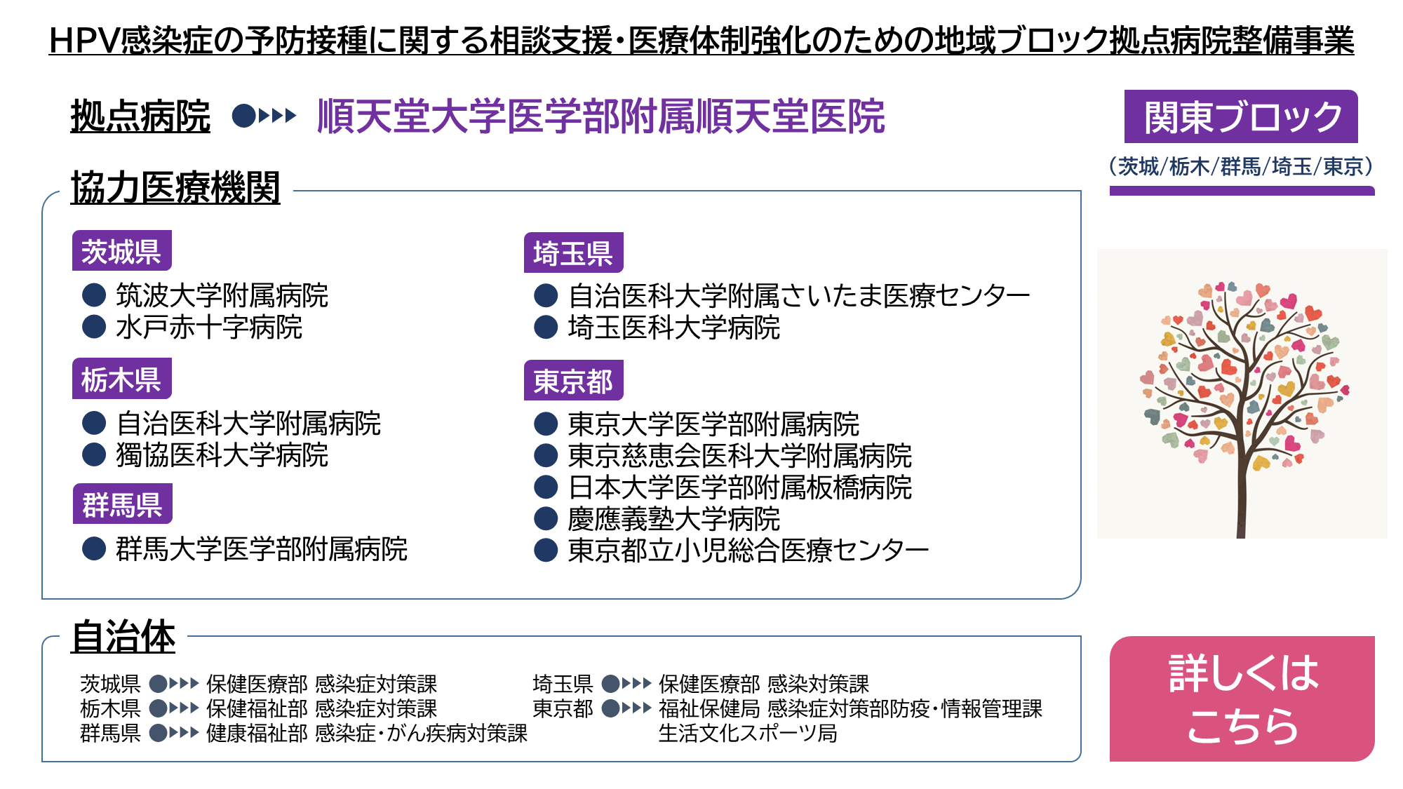 相談窓口一覧｜HPV予防接種拠点病院整備事業 関東ブロック［茨城/栃木/群馬/埼玉/東京］ トップ２